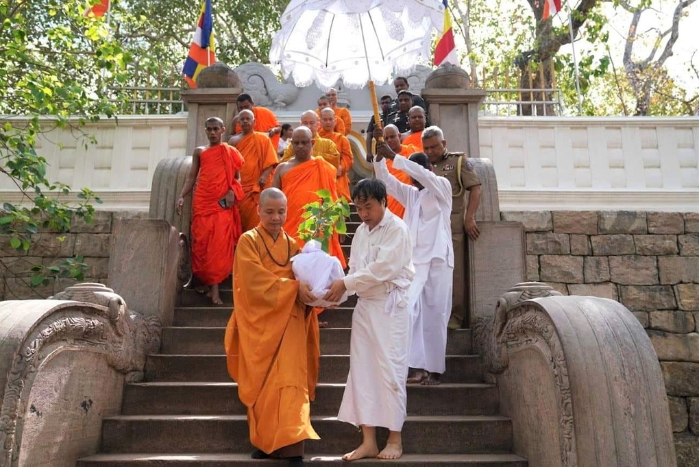 Sri Lanka tặng ngôi chùa lớn nhất Việt Nam cây bồ đề thiêng - 2 Sri Lanka tặng ngôi chùa lớn nhất Việt Nam cây bồ đề thiêng - 2
