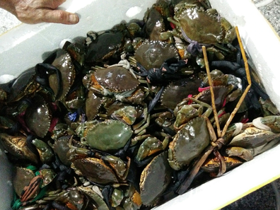 Giáp Tết Nguyên đán, đặc sản tôm khô, cua Cà Mau "nhảy" giá