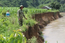 Báo động tình trạng “rút ruột” sông, người dân bán đất, bỏ nhà tại Đắk Nông