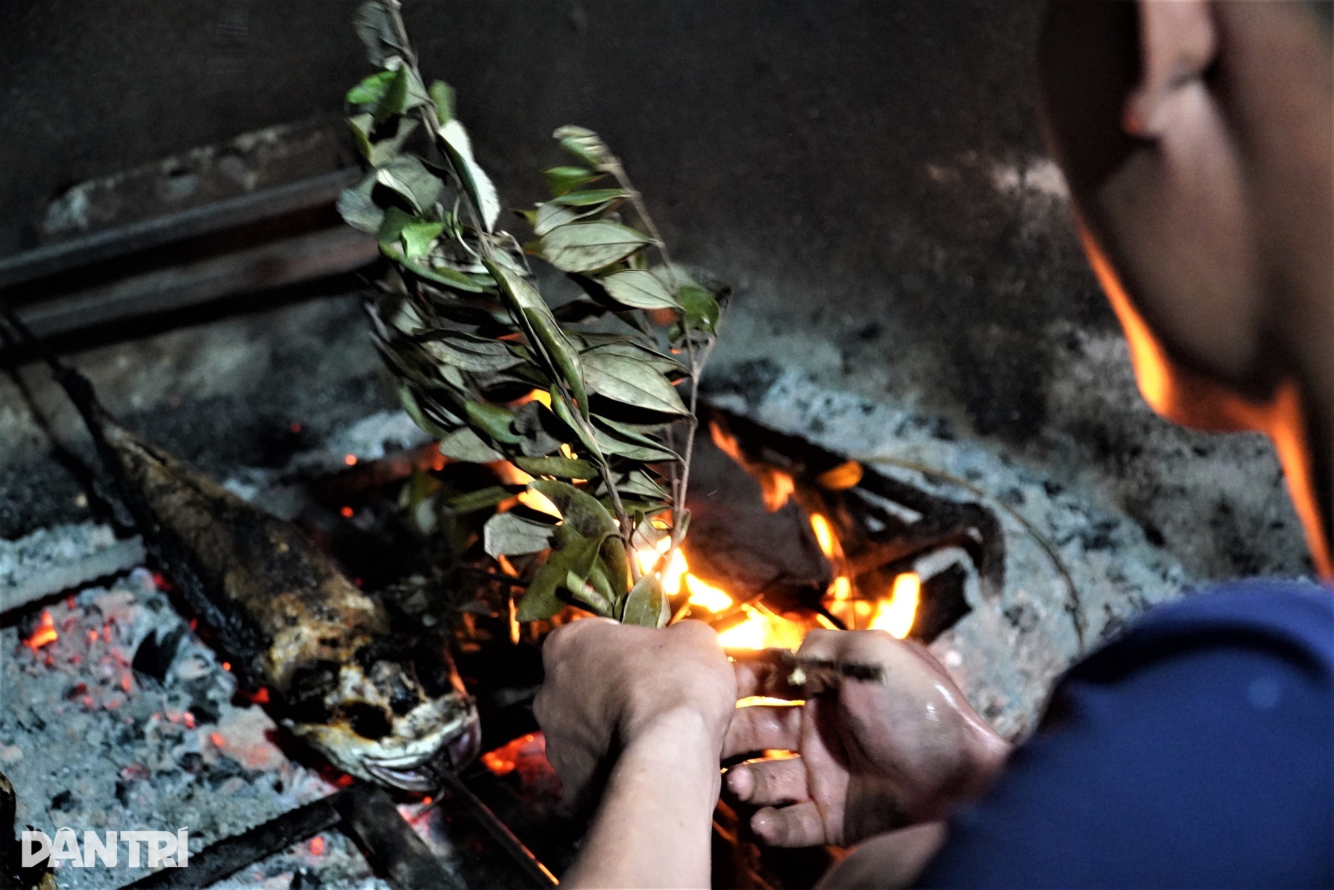 Ông chủ trẻ hốt bạc nhờ tuyệt chiêu nướng cá, ngày bán trăm con - 3 Ông chủ trẻ hốt bạc nhờ tuyệt chiêu nướng cá, ngày bán trăm con - 3