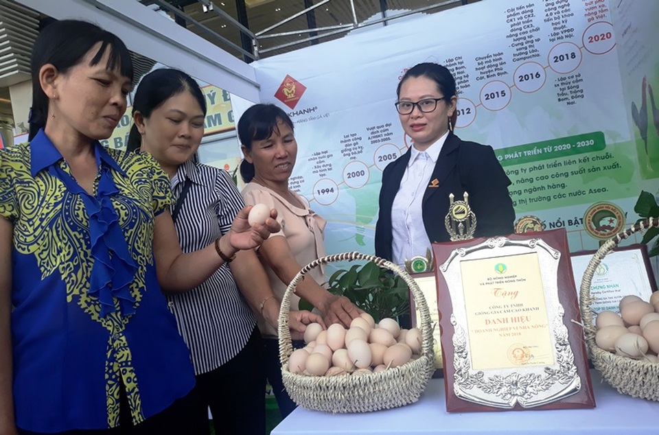 Chuyên gia hiến kế đưa gà ta xuất ngoại - 3 Chuyên gia hiến kế đưa gà ta xuất ngoại - 3