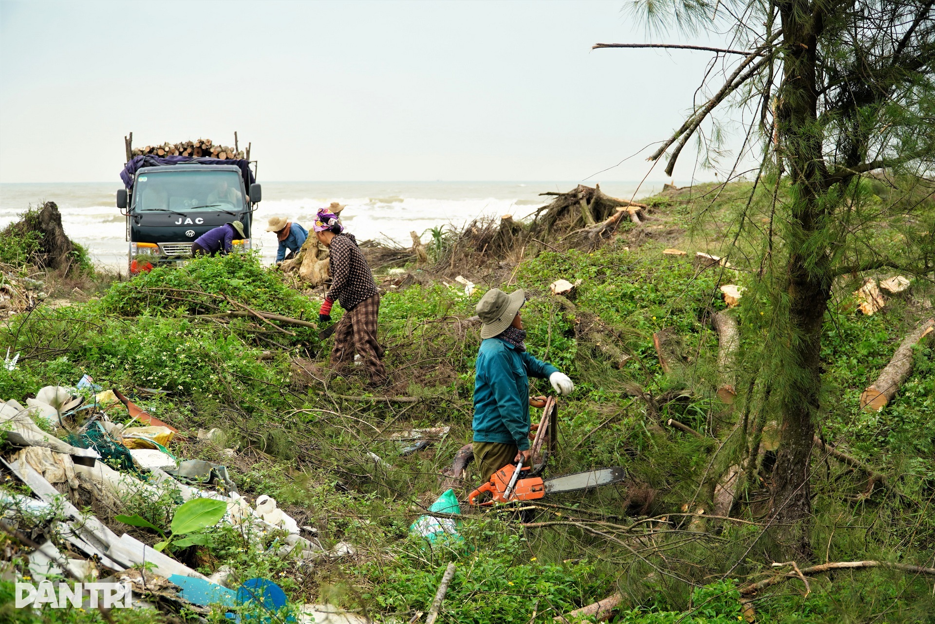 Lá chắn xanh xơ xác sau hai cơn bão dữ - 10 Lá chắn xanh xơ xác sau hai cơn bão dữ - 10