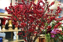 Đại gia Việt chi vài chục triệu đồng rước hoa ngoại về chơi Tết