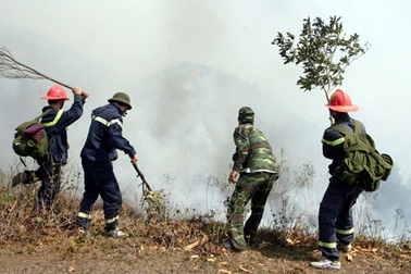 Đã dập tắt hoàn toàn các đám cháy ở rừng Hoàng Liên