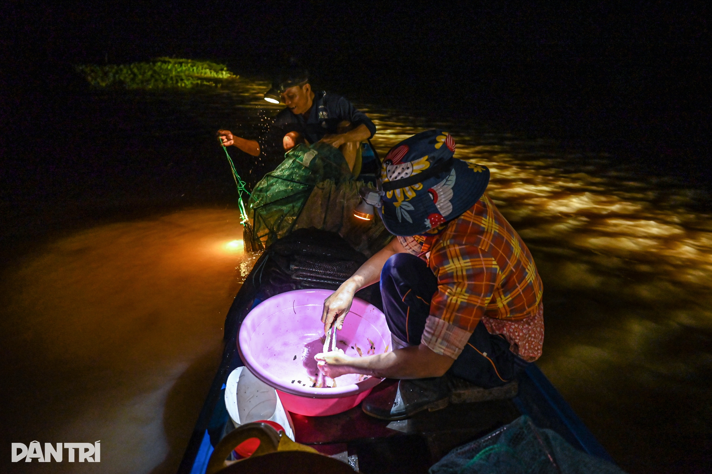 ล่าสินค้าฤดูน้ำหลากภาคตะวันตกทั้งคืน - 6 Trắng đêm săn sản vật mùa nước nổi ở miền Tây - 6