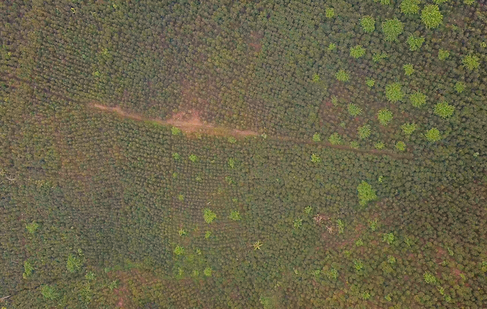 Thúc đẩy kinh tế tuần hoàn vì một tương lai bền vững - 4