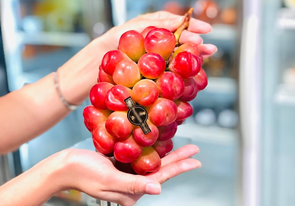 Nhà giàu Việt phát sốt với nho Nhật hình trái tim giá 2 triệu đồng/kg - 1 Nhà giàu Việt phát sốt với nho Nhật hình trái tim giá 2 triệu đồng/kg - 1