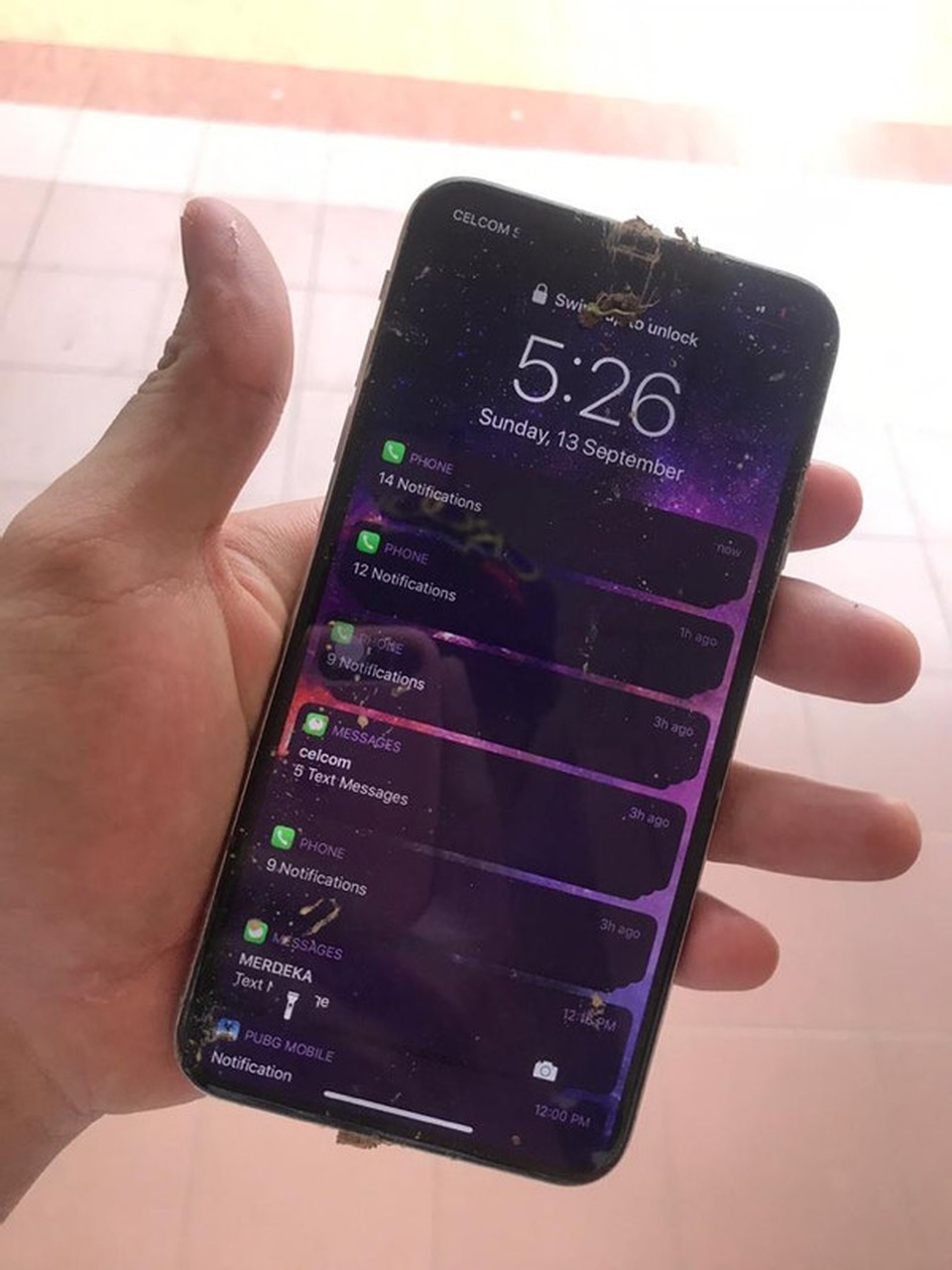 Khó tin chú khỉ ăn cắp iPhone, mang ra giữa rừng chụp selfie, quay phim - 1 Khó tin chú khỉ ăn cắp iPhone, mang ra giữa rừng chụp selfie, quay phim - 1