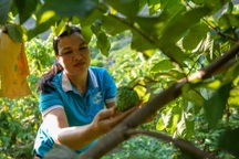 Những người phụ nữ làm kinh tế giỏi và "cây na thoát nghèo"