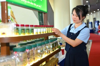 Bệ phóng logistics và dòng vốn xanh đưa hàng Việt ra toàn cầu