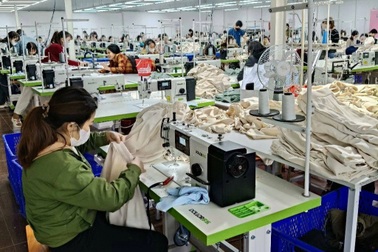 Xác minh thông tin công ty trừ tiền lỗ vào lương công nhân