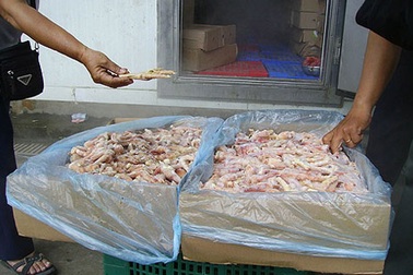 108 tấn chân gà thối "mất tích": Kiểm điểm trách nhiệm hải quan