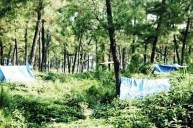 Valentine rủ nhau lên đồi “sung sướng”