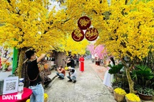 Chàng trai "hô biến" con hẻm cũ thành "phố xuân" đẹp vạn người mê