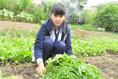 Nữ sinh 16 tuổi là trụ cột gia đình