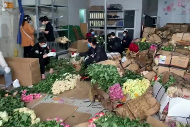 Mượn danh đi giải cứu hoa hồng Đà Lạt, nhập 1 bán gấp 4 lần