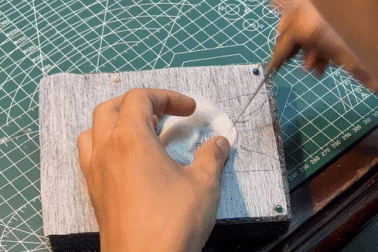 Chàng trai Hà Nội "hồi sinh" thú cưng bằng cách... đâm kim