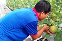 Nghệ An: Tạo việc làm và thu nhập từ đào tạo nghề nông thôn