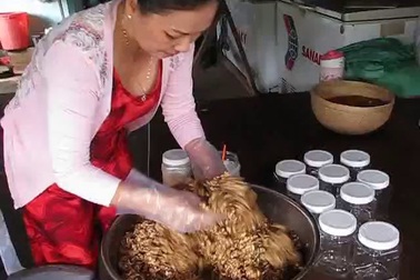 Làm món mắm ong ở Cà Mau.