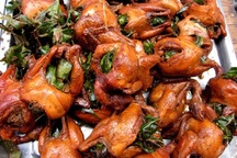 Bắt 4.000 con chim bồ câu nghi nhập lậu từ Trung Quốc