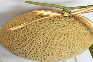 Phân biệt dưa Trung Quốc giả danh dưa lưới Đà Lạt