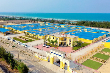 Mua lại Dương Hùng Miền Trung, Mebi Group tham gia ngành tôm Việt Nam