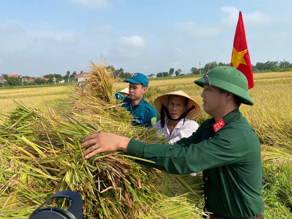 Bộ đội căng mình giữa nắng nóng giúp dân gặt lúa, sửa nhà - 2 Bộ đội căng mình giữa nắng nóng giúp dân gặt lúa, sửa nhà - 2
