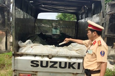 Bắt xe tải vận chuyển gần 500 kg da trâu