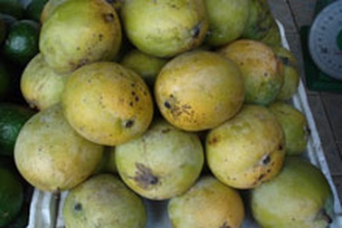 Đường đi của "xoài lạ"