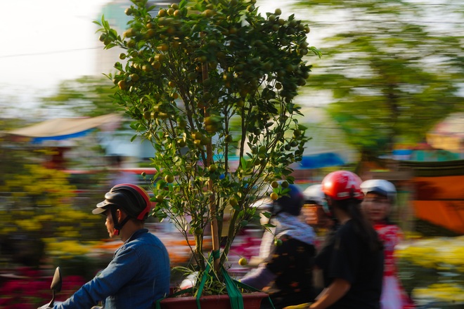 Một lần đi chợ hoa trên bến dưới thuyền độc, lạ nhất Sài Gòn - 26 Một lần đi chợ hoa trên bến dưới thuyền độc, lạ nhất Sài Gòn - 26