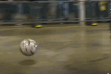 Kỳ lạ môn thể thao “vừa lái xe vừa đá bóng”