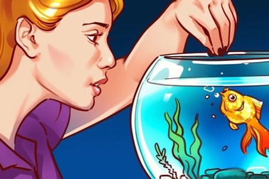 Những lợi ích của việc nuôi cá cảnh có thể bạn chưa biết