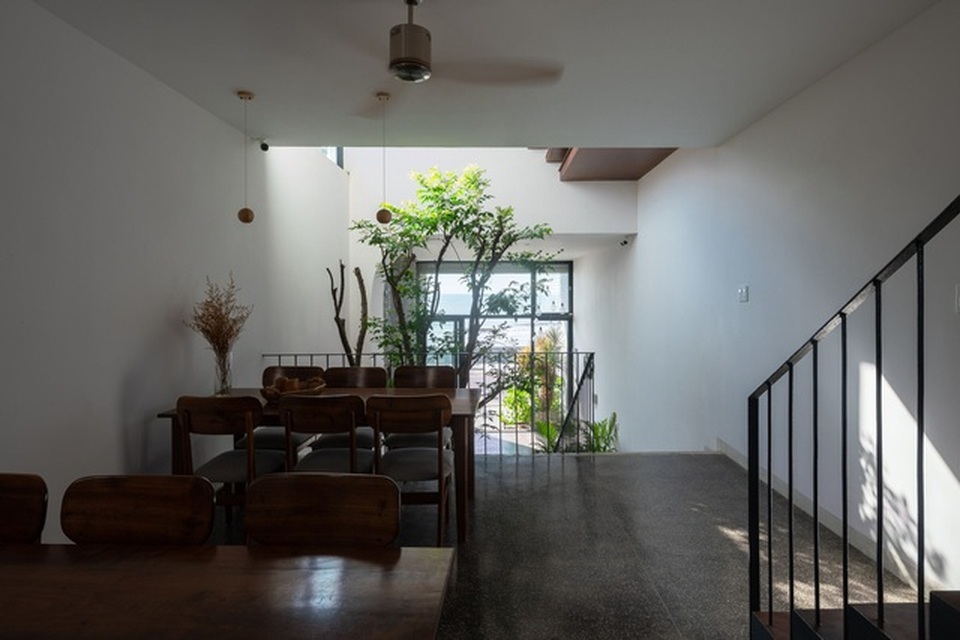 “Khu rừng nhiệt đới” nằm ẩn trong nhà phố khiến ai bước vào cũng trầm trồ - 8