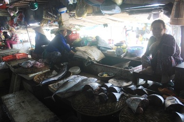 Vụ cá chết hàng loạt: Tàu cá "ế ẩm" sau những chuyến vươn khơi