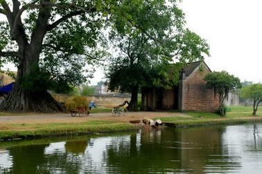 Bạn đọc nói gì về “người nhà quê”?