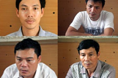 Bàn giao 23 con rùa cho Vườn quốc gia Pù Mát 