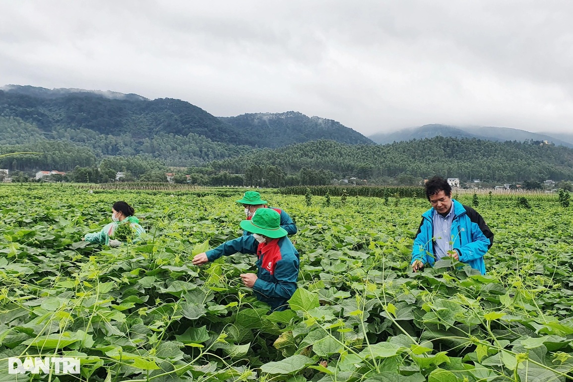 Tiêu chuẩn 5 không - xu hướng mới trong sản xuất nông nghiệp - 1 Tiêu chuẩn 5 không - xu hướng mới trong sản xuất nông nghiệp - 1