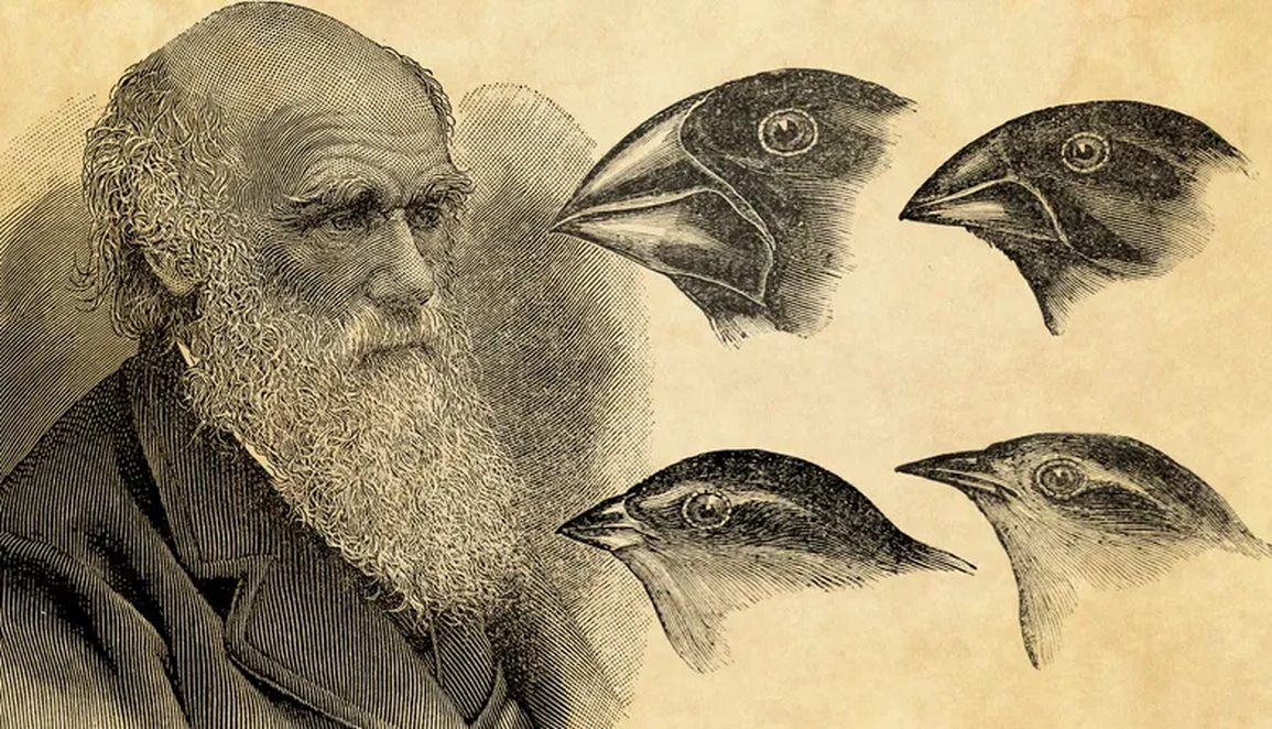 Nghiên cứu chỉ ra lỗ hổng trong học thuyết của Darwin về tiến hóa - 1 Nghiên cứu chỉ ra lỗ hổng trong học thuyết của Darwin về tiến hóa - 1