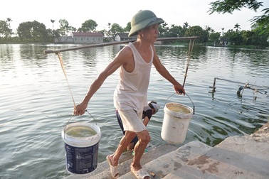 Hàng nghìn người dân Thủ đô sinh hoạt bằng... nước ao tù