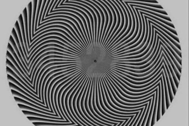 Hình ảnh đánh lừa ảo giác về "con số bí ẩn" gây sốt mạng xã hội