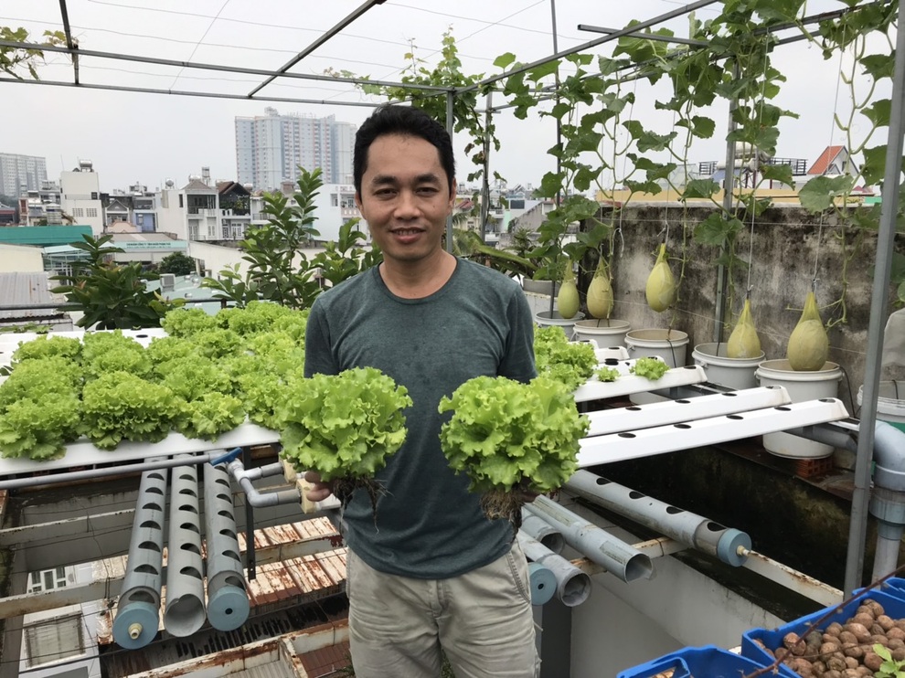 Vườn trồng rau, nuôi cá tươi sống trên sân thượng ở TPHCM - 10 Vườn trồng rau, nuôi cá tươi sống trên sân thượng ở TPHCM - 10