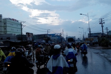 Cơn mưa “vàng” tưới mát vùng hạn, mặn