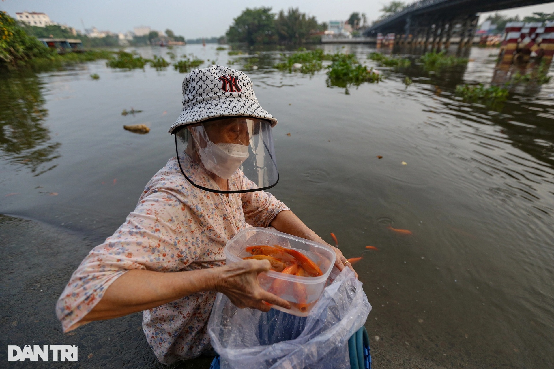 Người dân thuê thuyền ra giữa sông Sài Gòn thả cá tiễn ông Táo - 7