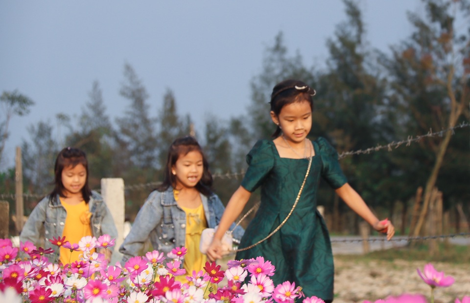 Trồng sao nhái thay dưa, chàng trai thu nhập hàng triệu đồng mỗi ngày - 9 Trồng sao nhái thay dưa, chàng trai thu nhập hàng triệu đồng mỗi ngày - 9