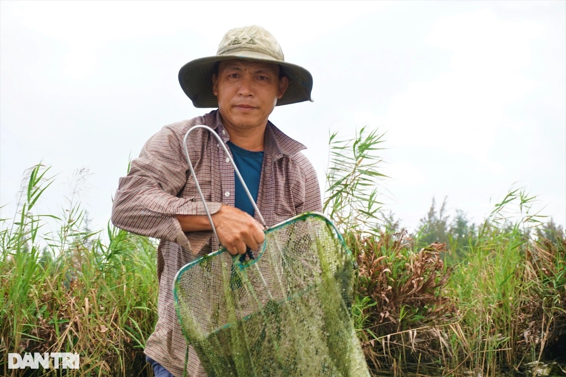 Theo chân những người dầm mình, ngâm nước cào hến ở sông Trường Giang - 5 Theo chân những người dầm mình, ngâm nước cào hến ở sông Trường Giang - 5