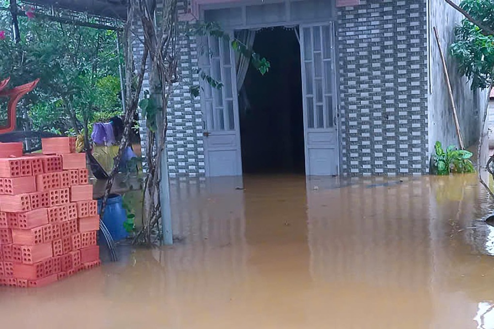 Nhiều khu dân cư ven sông Đồng Nai bị ngập - 2