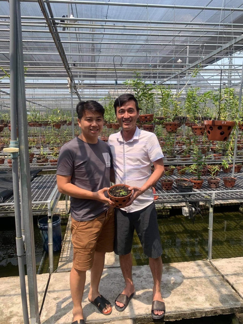 Nghệ nhân Nguyễn Hồ Phúc Vinh chia sẻ bí quyết giữ lan rừng lâu tàn - 5 Nghệ nhân Nguyễn Hồ Phúc Vinh chia sẻ bí quyết giữ lan rừng lâu tàn - 5