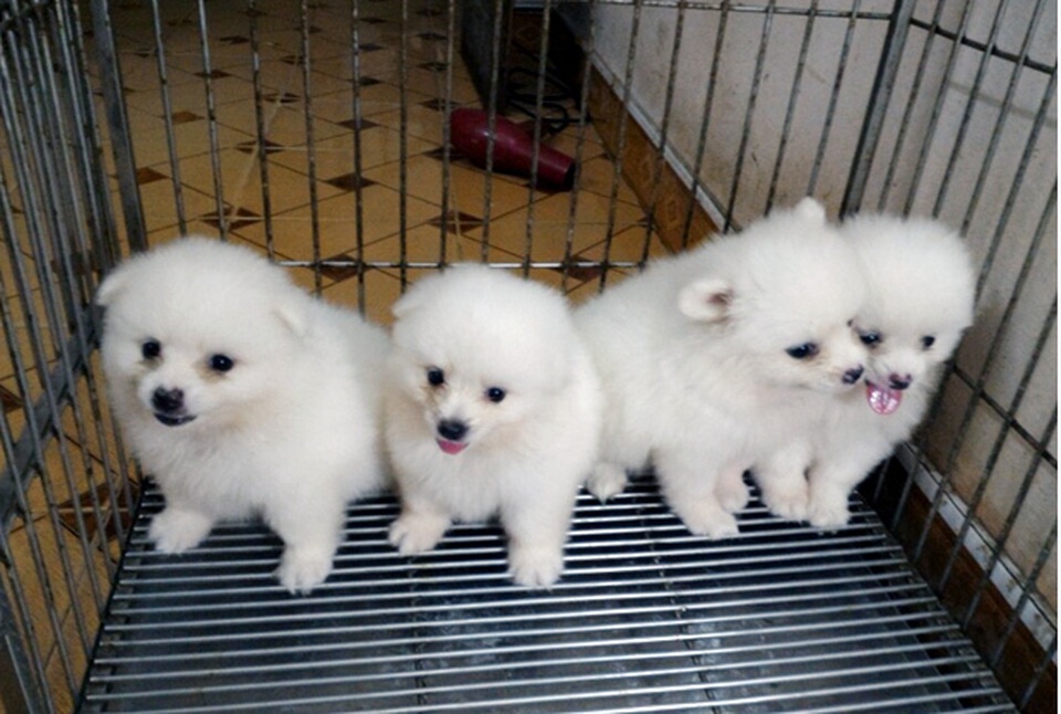 Chỉ 8 triệu đồng, 2 năm làm chơi ăn thật chàng sinh viên mua nhà Hà Nội - 1 Chỉ 8 triệu đồng, 2 năm làm chơi ăn thật chàng sinh viên mua nhà Hà Nội - 1