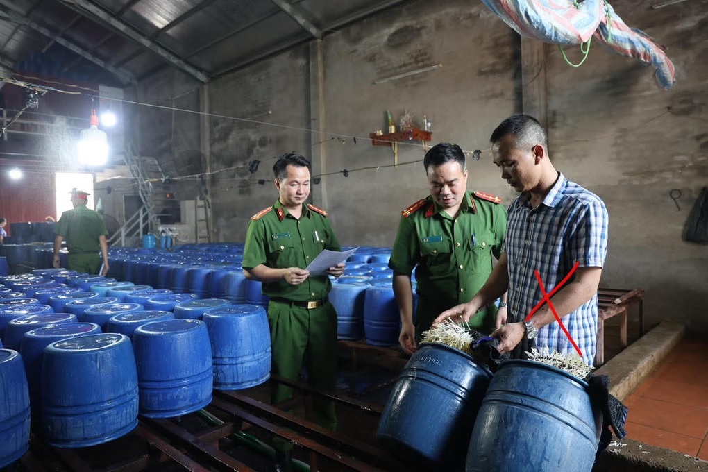 Triệt phá cơ sở bán 60 tấn giá đỗ tẩm chất tăng trưởng - 1 Triệt phá cơ sở bán 60 tấn giá đỗ tẩm chất tăng trưởng - 1