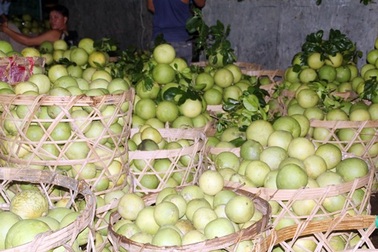 Trái cây đổ về TP.HCM khiến giá giảm mạnh